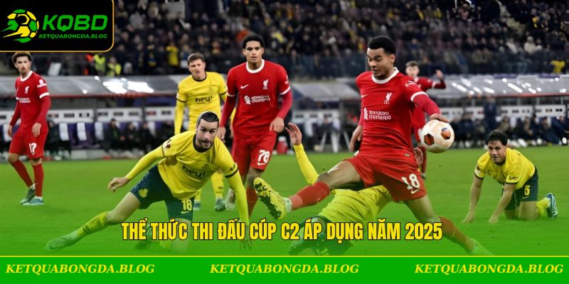 Thể thức thi đấu cúp C2 áp dụng năm 2025