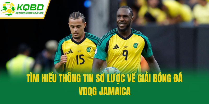 Tìm hiểu thông tin sơ lược về giải bóng đá VĐQG Jamaica